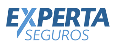 Logo Experta